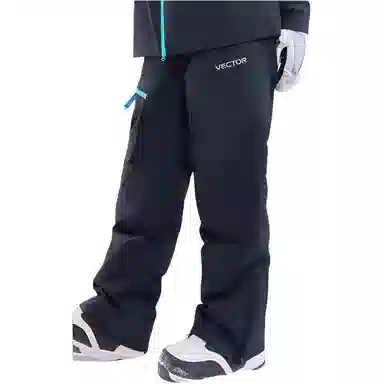 VECTOR