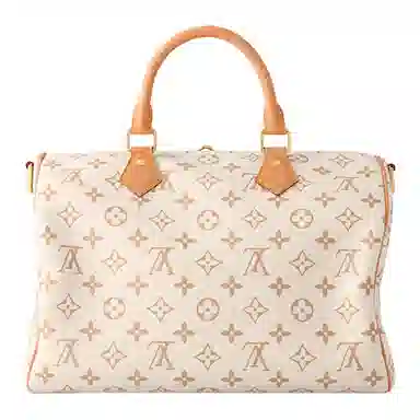 LOUIS VUITTON SPEEDY SOFT 30 LUCKY