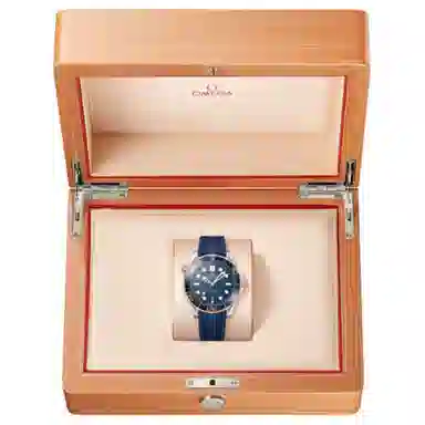 OMEGA Seamaster 210.22.42.20.03.002