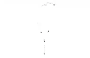 Swarovski Lollipop Y Necklace Platinum Plated