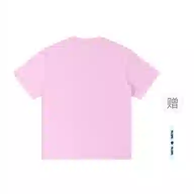 pallsupol T