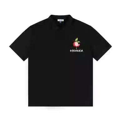 HIPANDA logoPolo