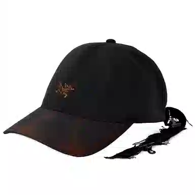 Arcteryx Logo