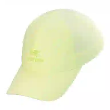 Arcteryx Bird Word Cap