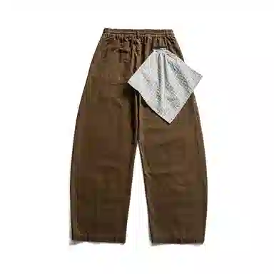 PINSCIO ZENIE