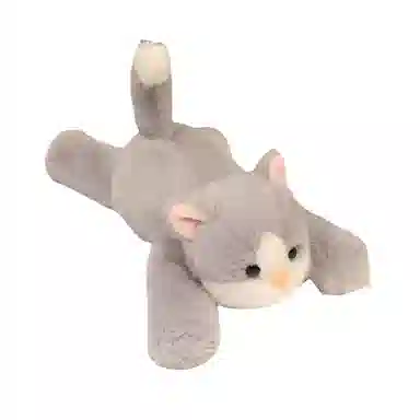 22cm