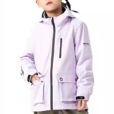 NORTHLAND PROFESSIONAL