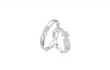 JUICY GRAPE ins S999