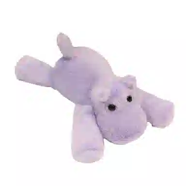 22cm