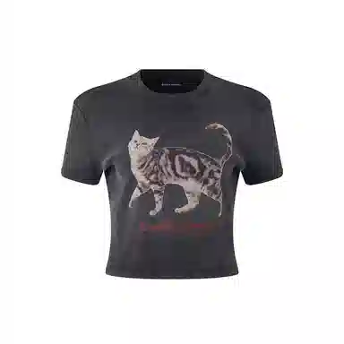 BANDITK GANGN 2025 T