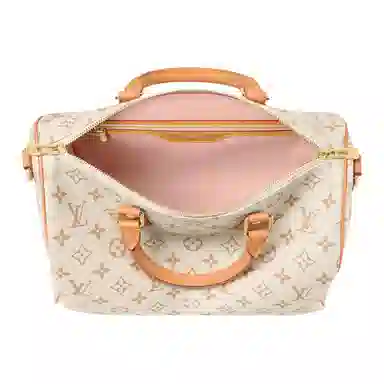 LOUIS VUITTON SPEEDY SOFT 30 LUCKY