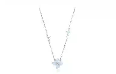 WANLIACC Star Clover Necklace S925 Silver
