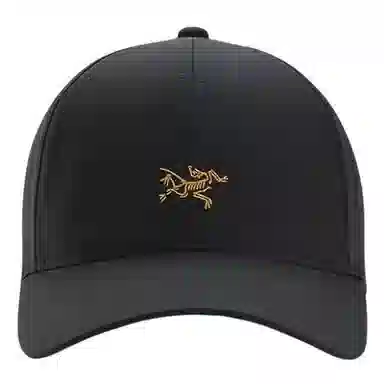 Arcteryx Logo