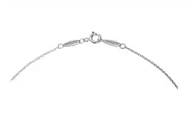 Tiffany & Co. Teardrop Necklace