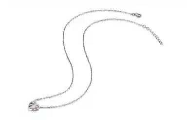 DaisyFellowes DF S925 AY