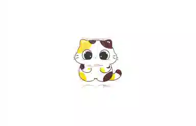 IYOU ins