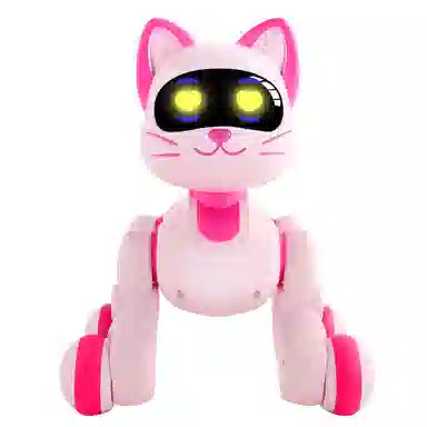 圣手 智能宠物猫 实用 人物