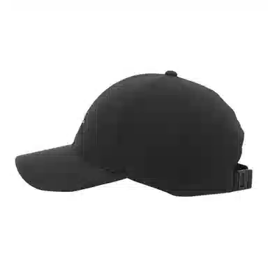 Arcteryx Logo