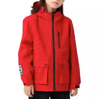 NORTHLAND PROFESSIONAL