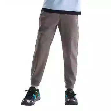 NORTHLAND PROFESSIONAL