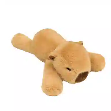 22cm