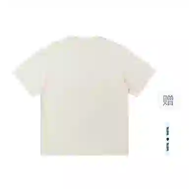 pallsupol T
