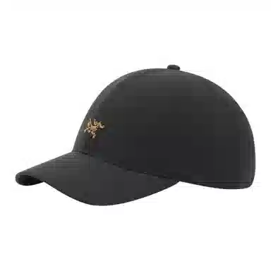 Arcteryx Logo