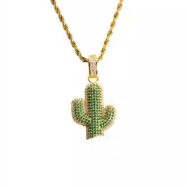 暖瞳 仙人掌 钛钢 项链 男款