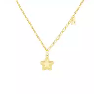 梵星饰季 小星愿 森系甜美风 精致轻奢小众设计感锁骨链 日常通勤百搭 合金 项链 女款