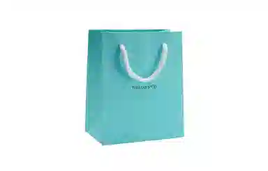 TIFFANY CO. Elsa Peretti Bean 40x0.9cm