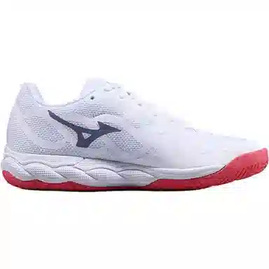 Mizuno Wave Enforce Court