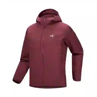 Arcteryx GAMMA FW25 Hoody Logo