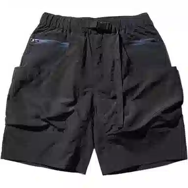 PINSCIO ZENIE