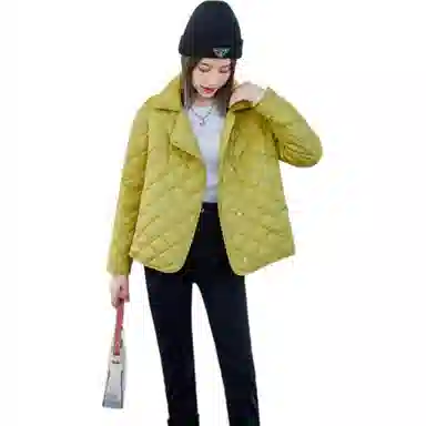 鸭鸭 纯色短款宽松立领长袖羽绒服 女款