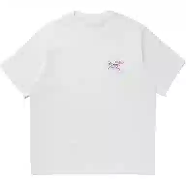 Arcteryx Kragg cottonT