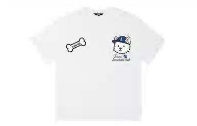 ICONS Lab ICS T