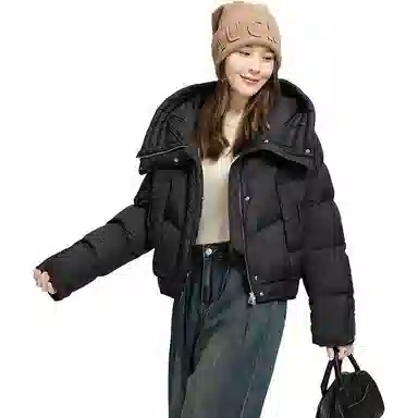 鸭鸭 韩版连帽加厚休闲时尚纯色短款长袖羽绒服 女款