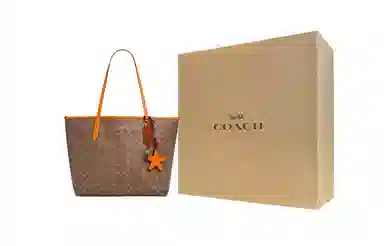 COACH Canvas Tote Bag Brown