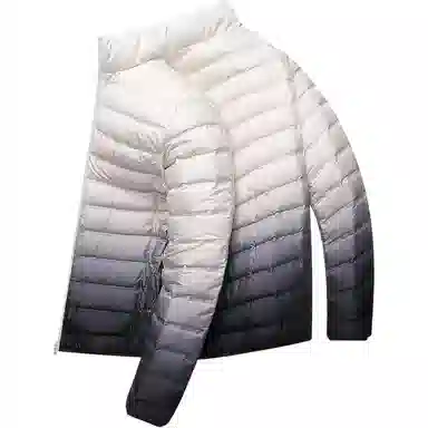 鸭鸭 立领短款休闲长袖羽绒服 男款