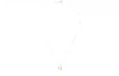 Tory Burch Necklace Gold