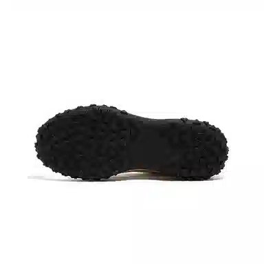 Camel Biscuit Trainer