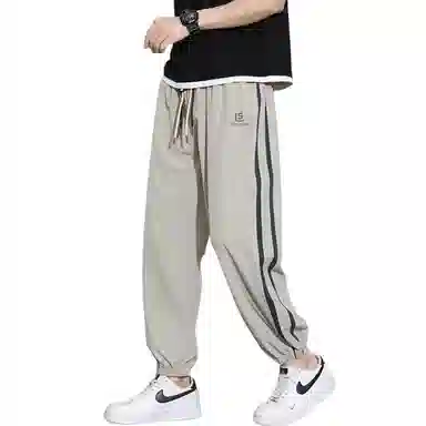ZIAREL