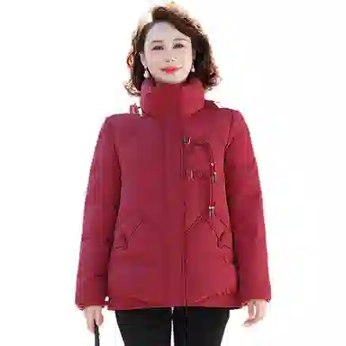 鸭鸭 洋气高贵简约舒适高级感羽绒服 女款