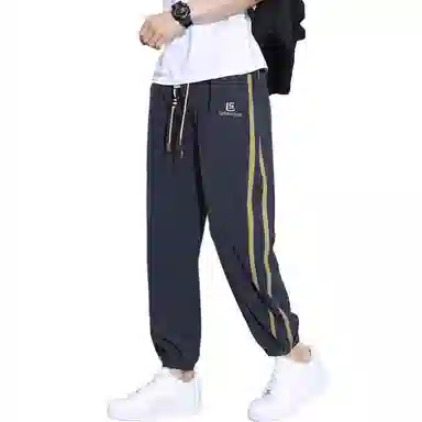 ZIAREL