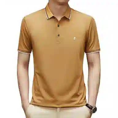 Pierre Cardin Polo Shirt