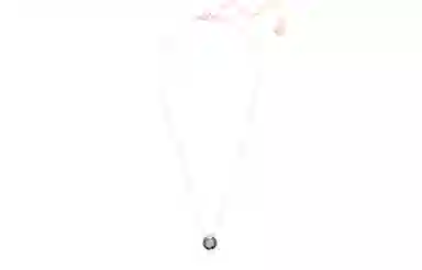 Swarovski Bella Necklace