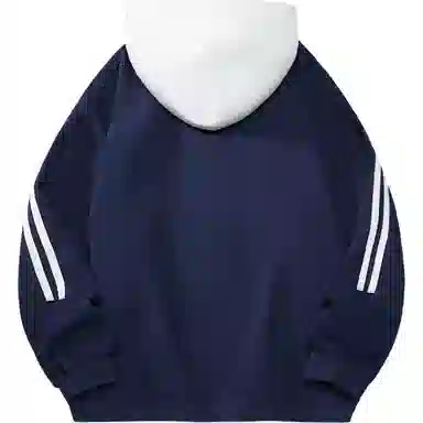 EMERICA Logo