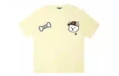 ICONS Lab ICS T