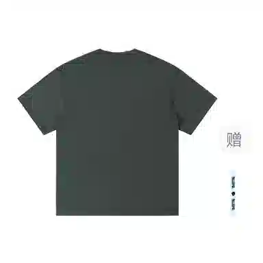 pallsupol T