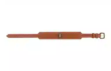 Gucci Lion Head Necklace